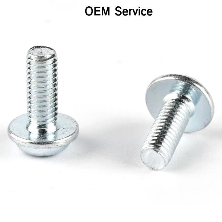 Pan Washer Phillips Head Screw
