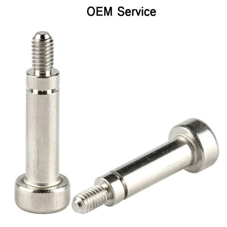 Steel Chess Head Torx Step Screw