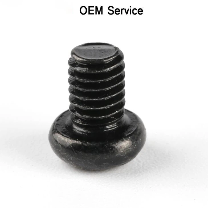 Round Head Black Zinc Small Toy Screws